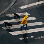 Limited Edition - Urban Streetscape